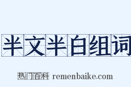 半文半白组词是什么意思的图片